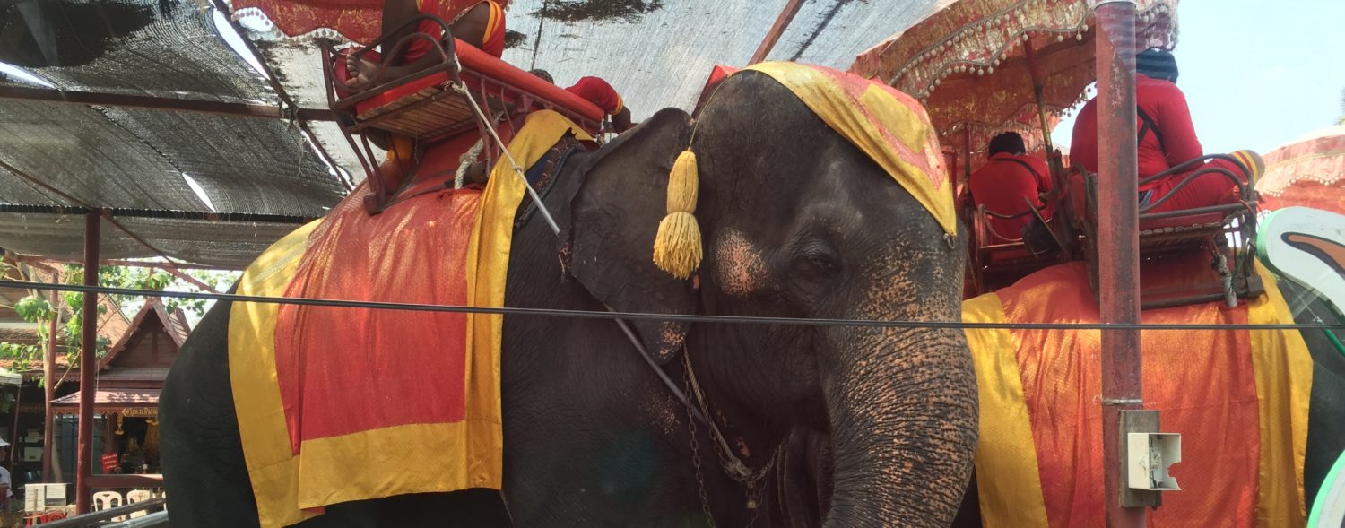 サヌックタイランド♥Sanuk Thailand